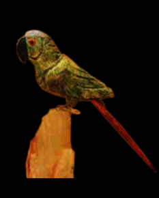 Bird Carving Peruvian Minerals